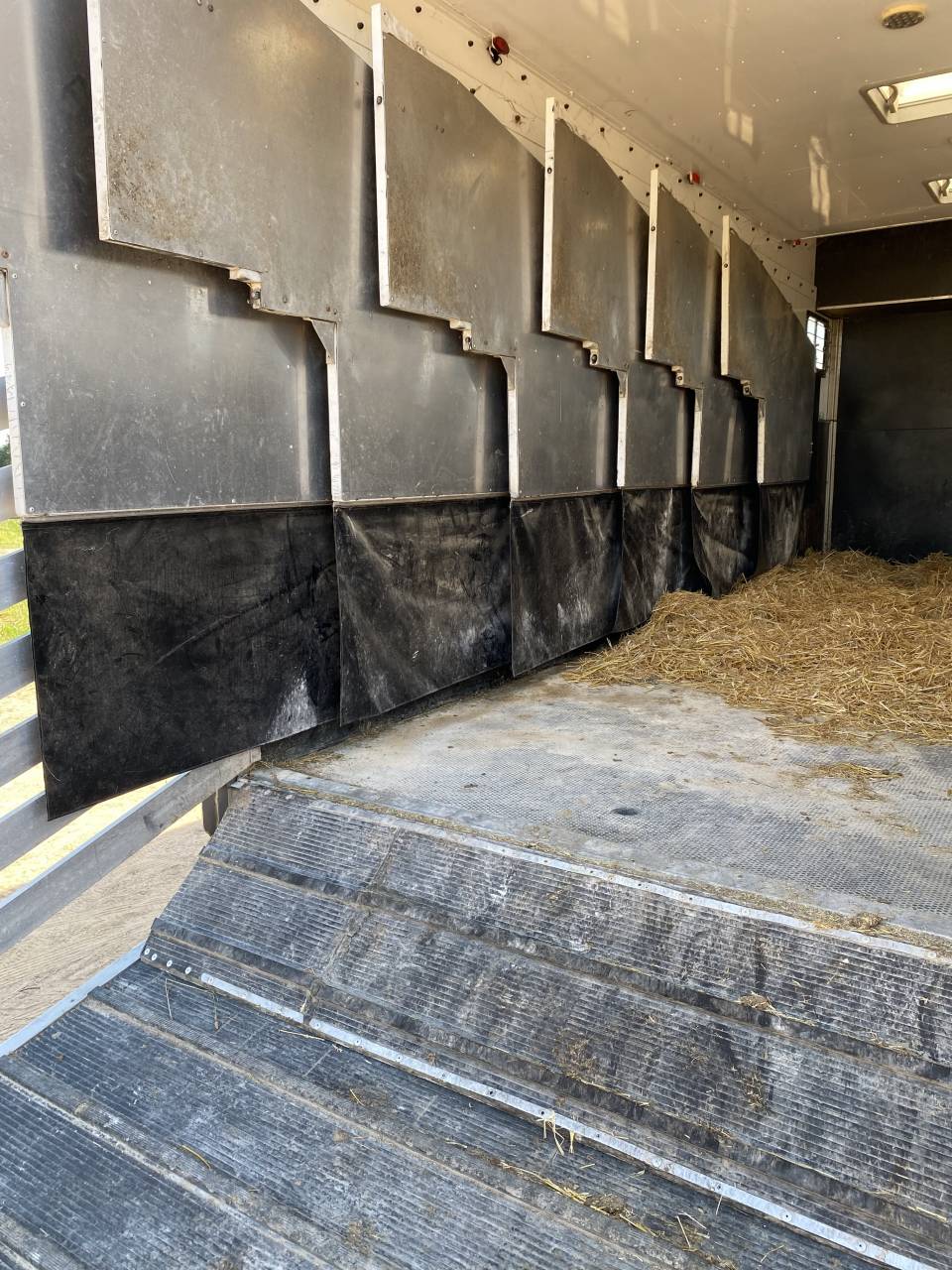 Camion per Cavalli Renault RENAULT PREMIUM 2010 Occasione