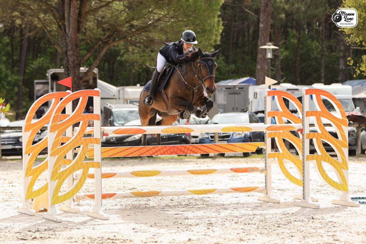 Castrone PFS Pony Francese da Sella In vendita 2015 Baio
