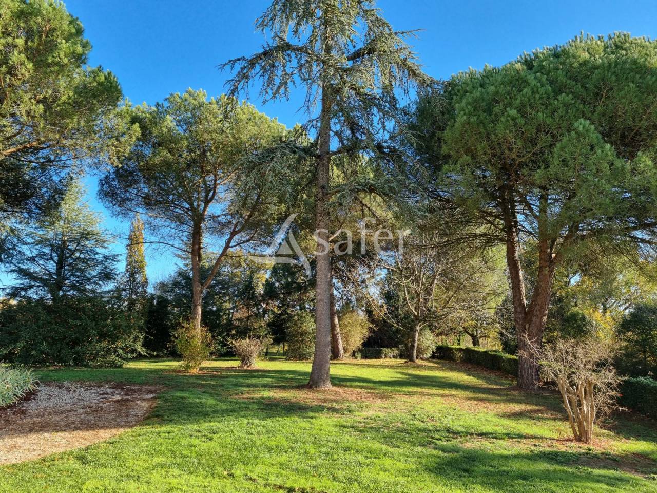 Azienda agricola In vendita Gers