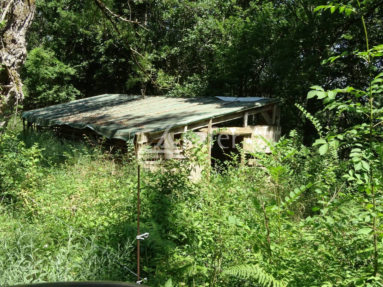Propriet&agrave; rurale In vendita Aude