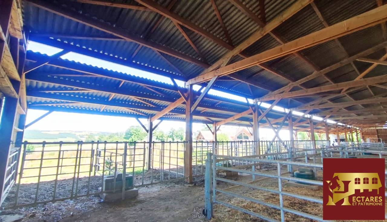 Propriet&agrave; equestre In vendita Sa&ocirc;ne-et-Loire