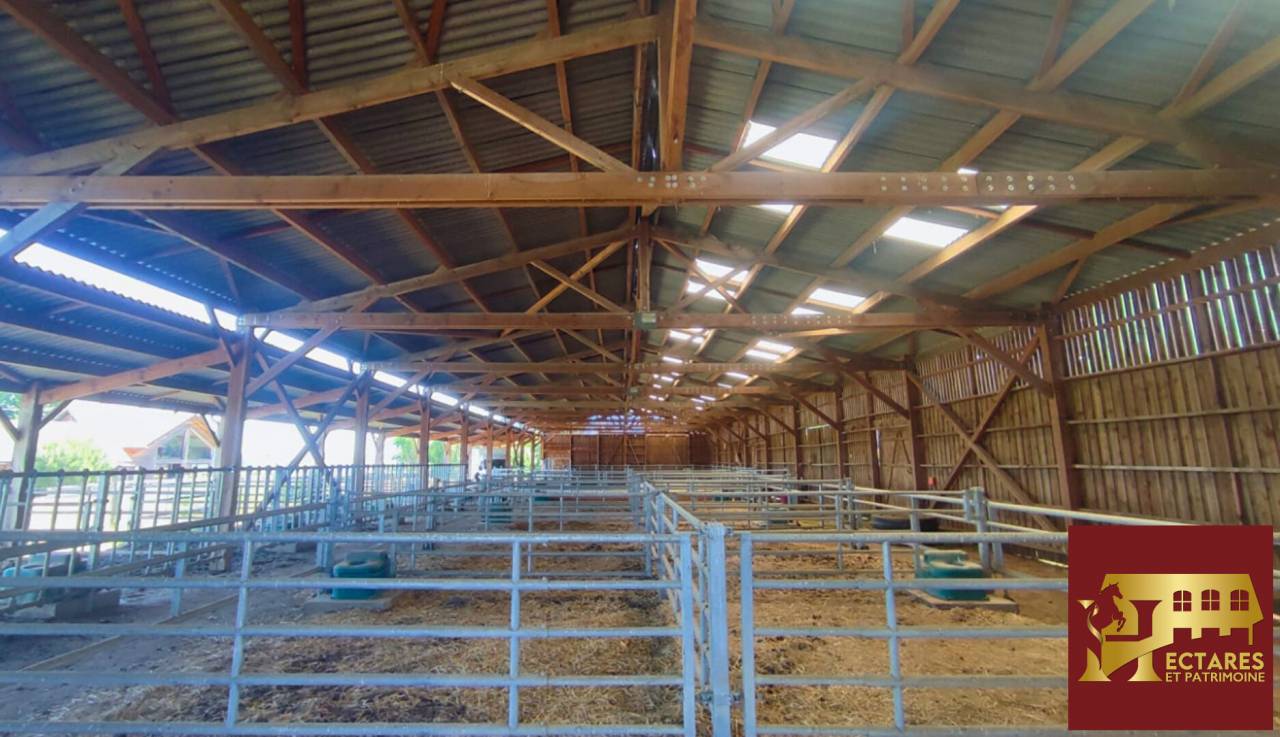 Propriet&agrave; equestre In vendita Sa&ocirc;ne-et-Loire