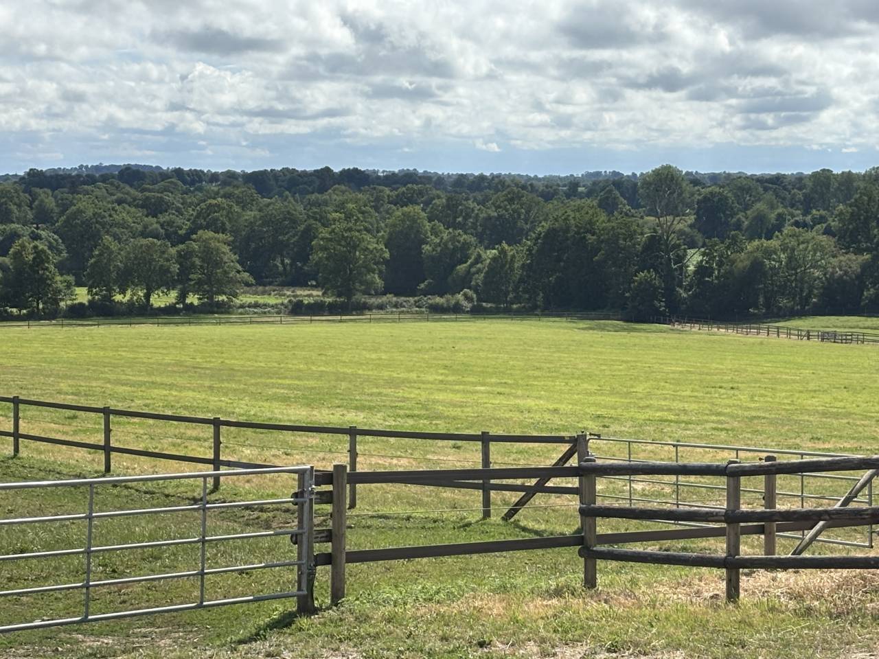 Centro di stagione cavallo In vendita Mayenne