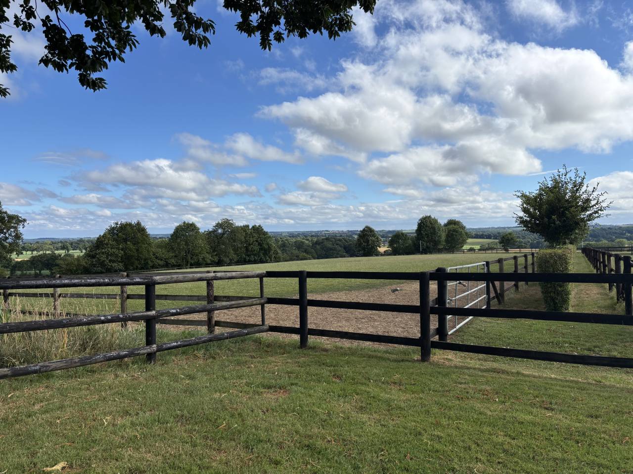Centro di stagione cavallo In vendita Mayenne
