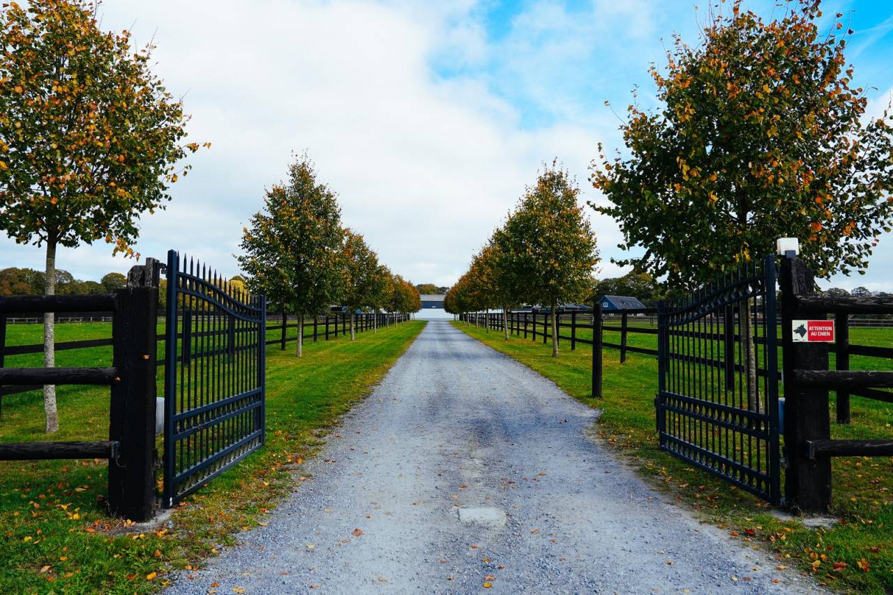 Centro di stagione cavallo In vendita Mayenne