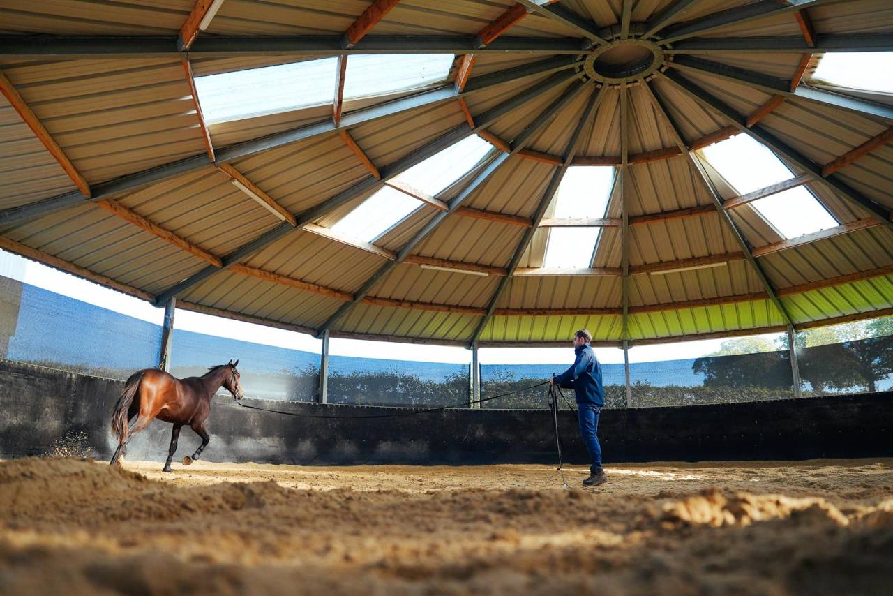 Centro di stagione cavallo In vendita Mayenne