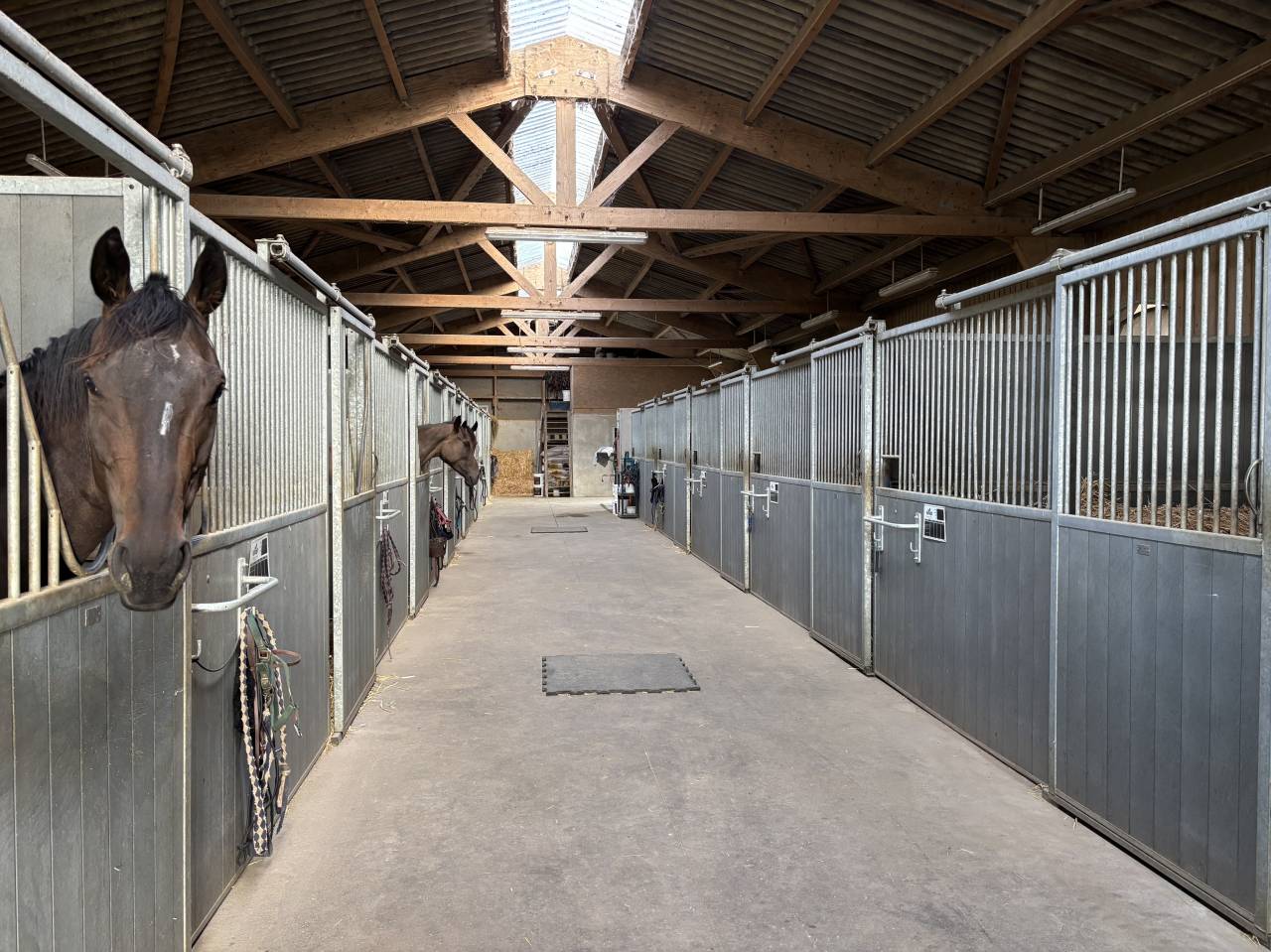 Centro di stagione cavallo In vendita Mayenne