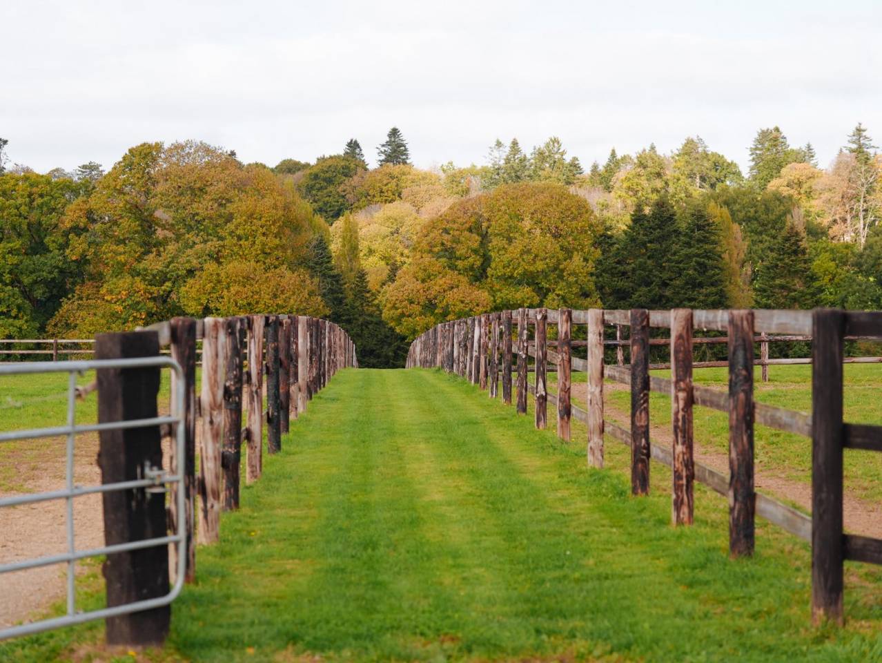 Centro di stagione cavallo In vendita Mayenne