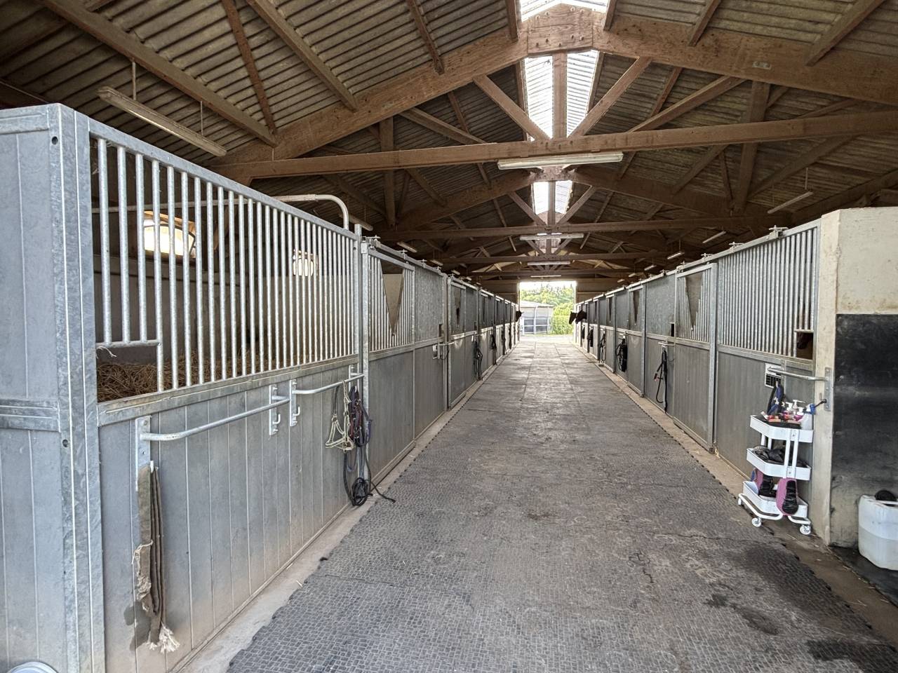 Centro di stagione cavallo In vendita Mayenne