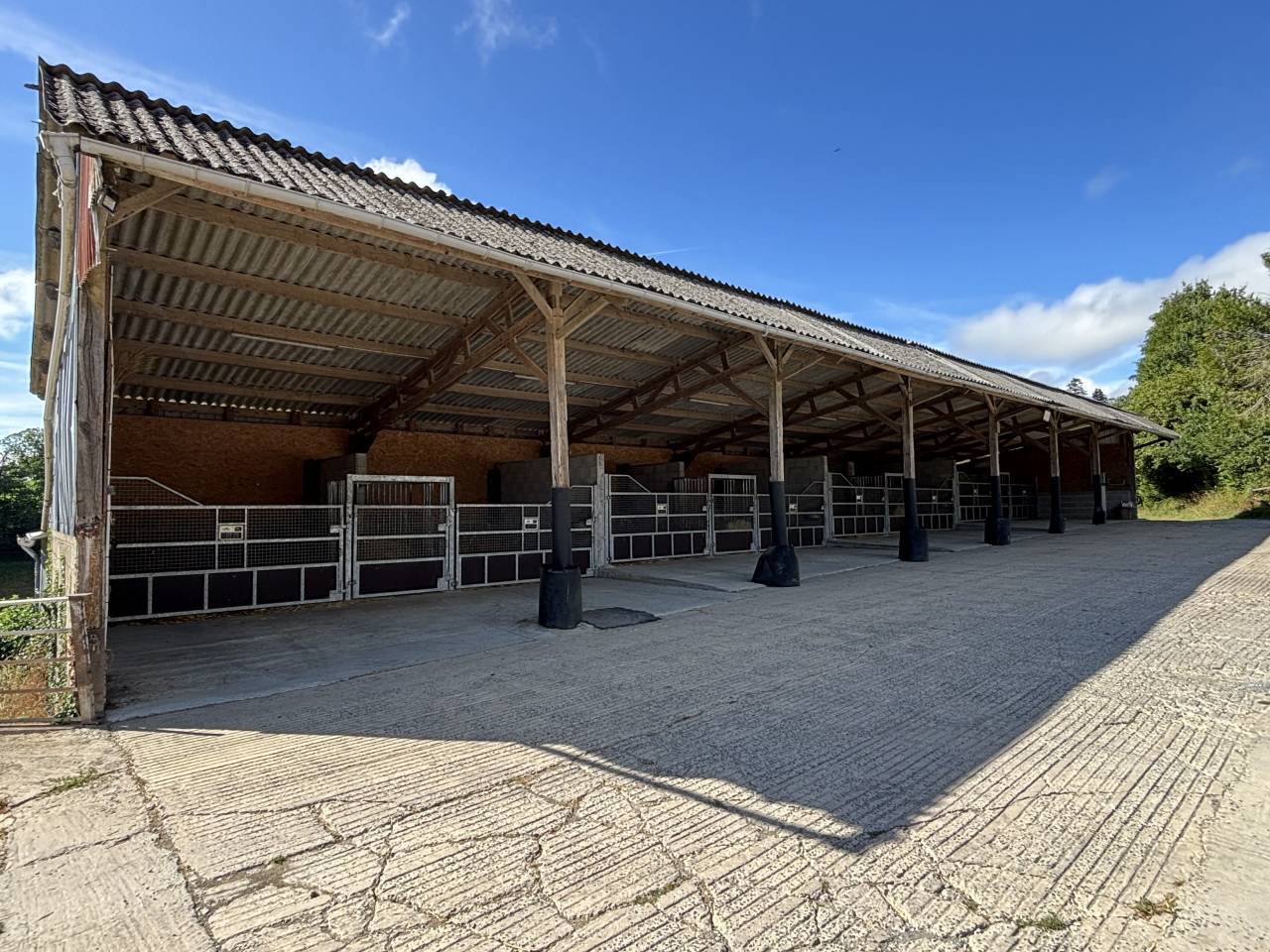 Centro di stagione cavallo In vendita Mayenne
