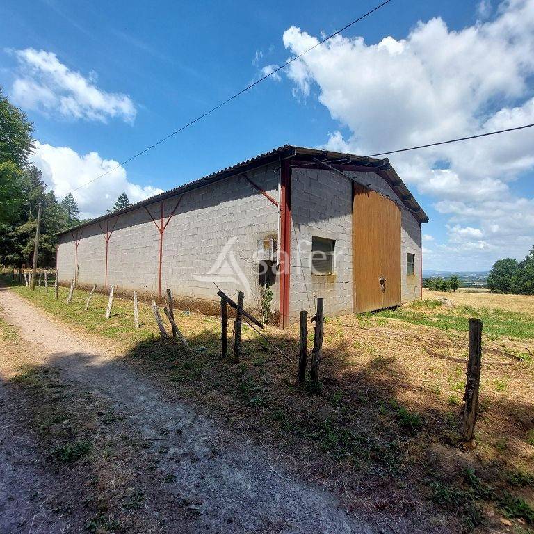 Azienda agricola In vendita Corr&egrave;ze