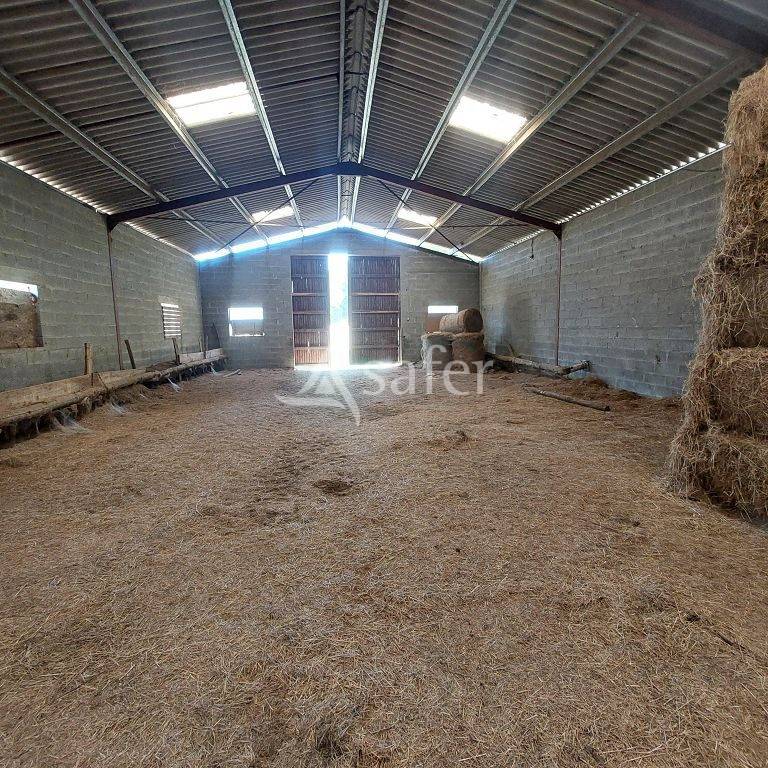 Azienda agricola In vendita Corr&egrave;ze