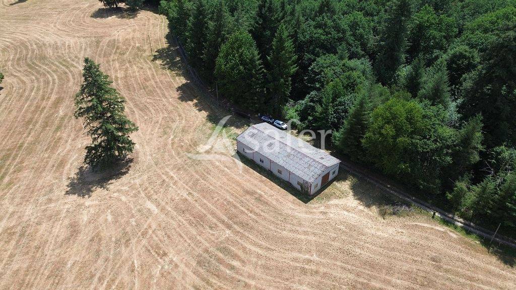 Azienda agricola In vendita Corr&egrave;ze