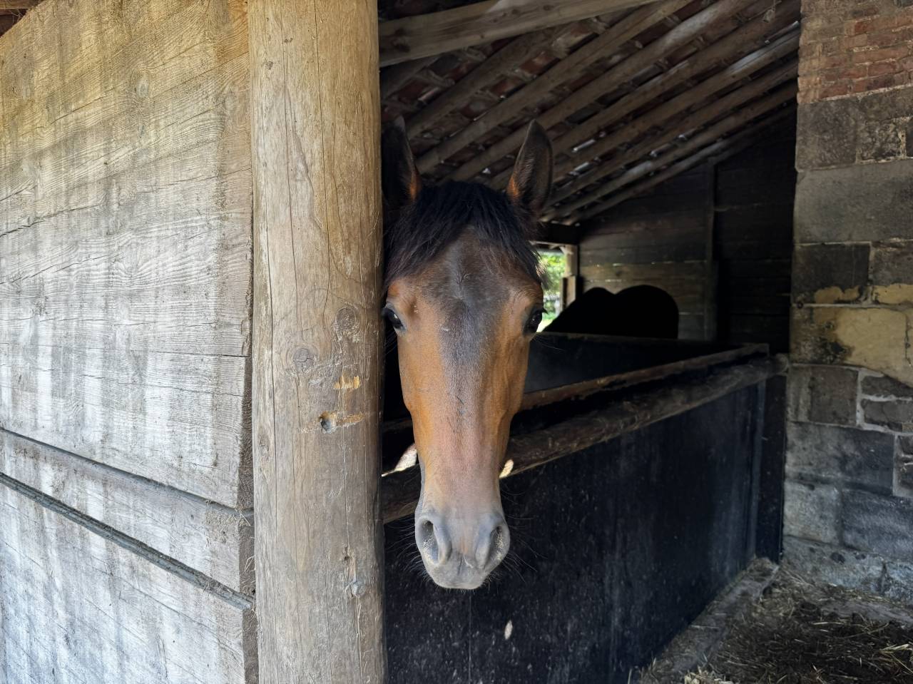 Bella dimora equestre In vendita Namur