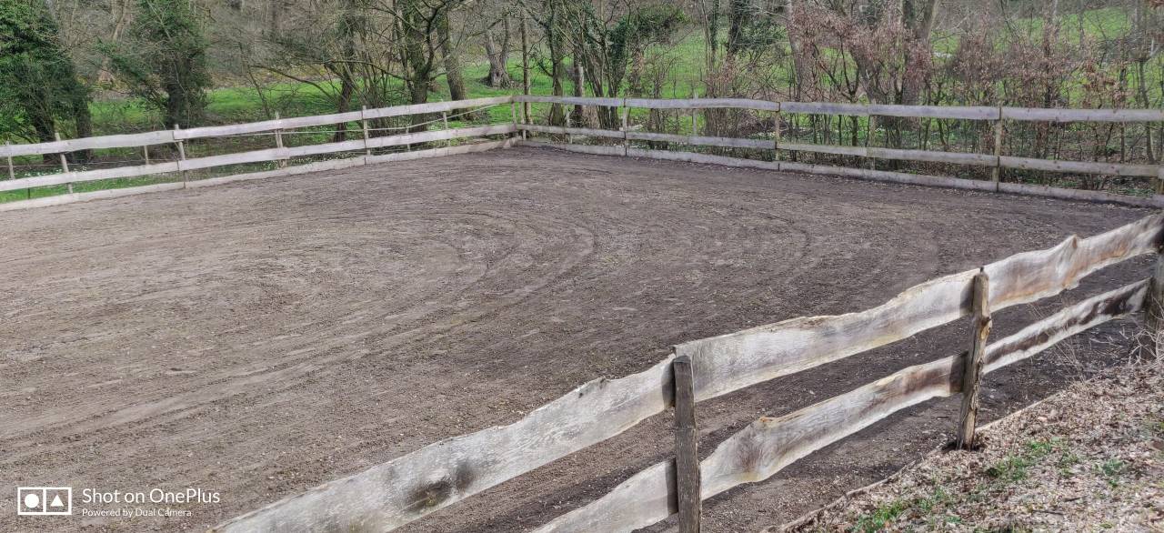 Bella dimora equestre In vendita Namur