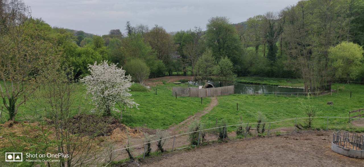 Bella dimora equestre In vendita Namur