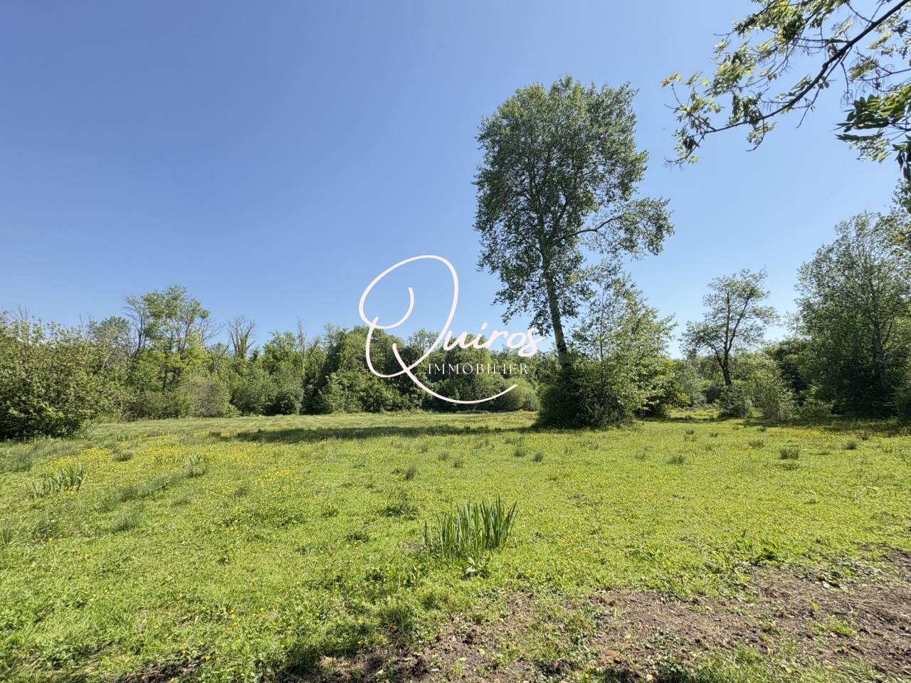 Propriet&agrave; equestre In vendita Seine-et-Marne