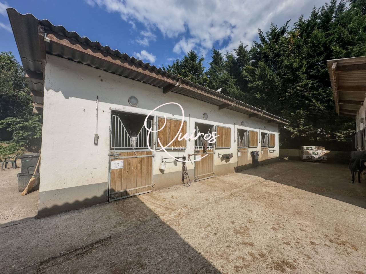 Propriet&agrave; equestre In vendita Yvelines