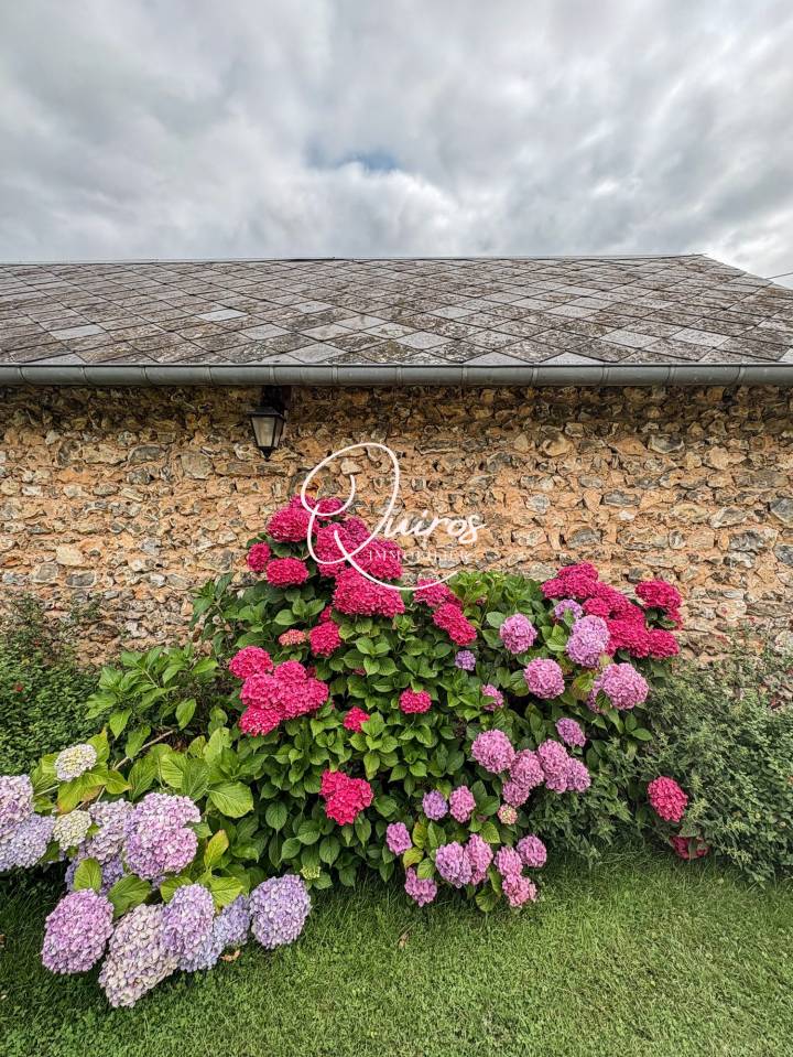 Propriet&agrave; equestre In vendita Eure
