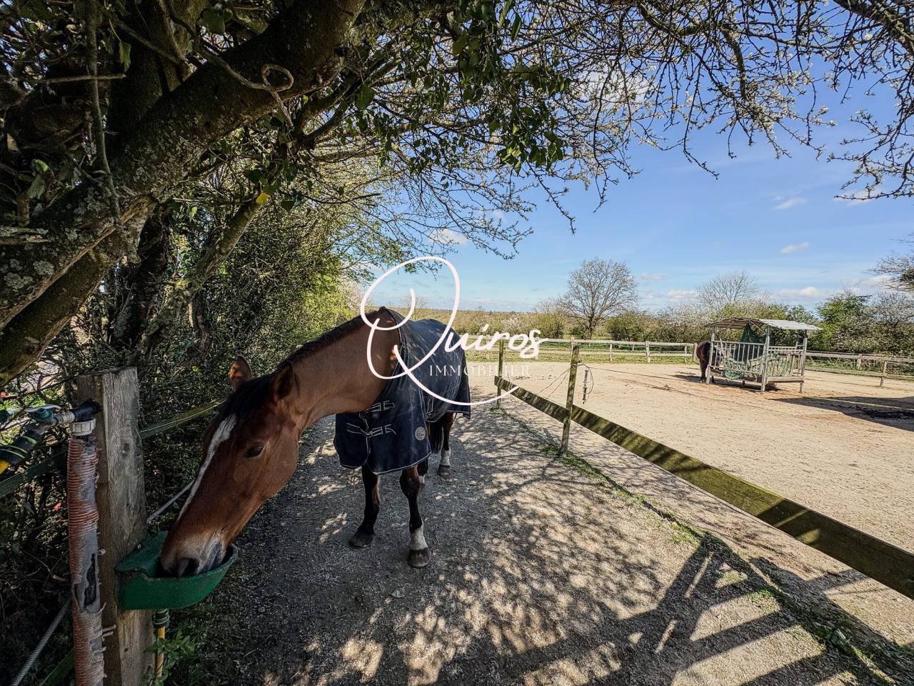 Propriet&agrave; equestre In vendita Manche