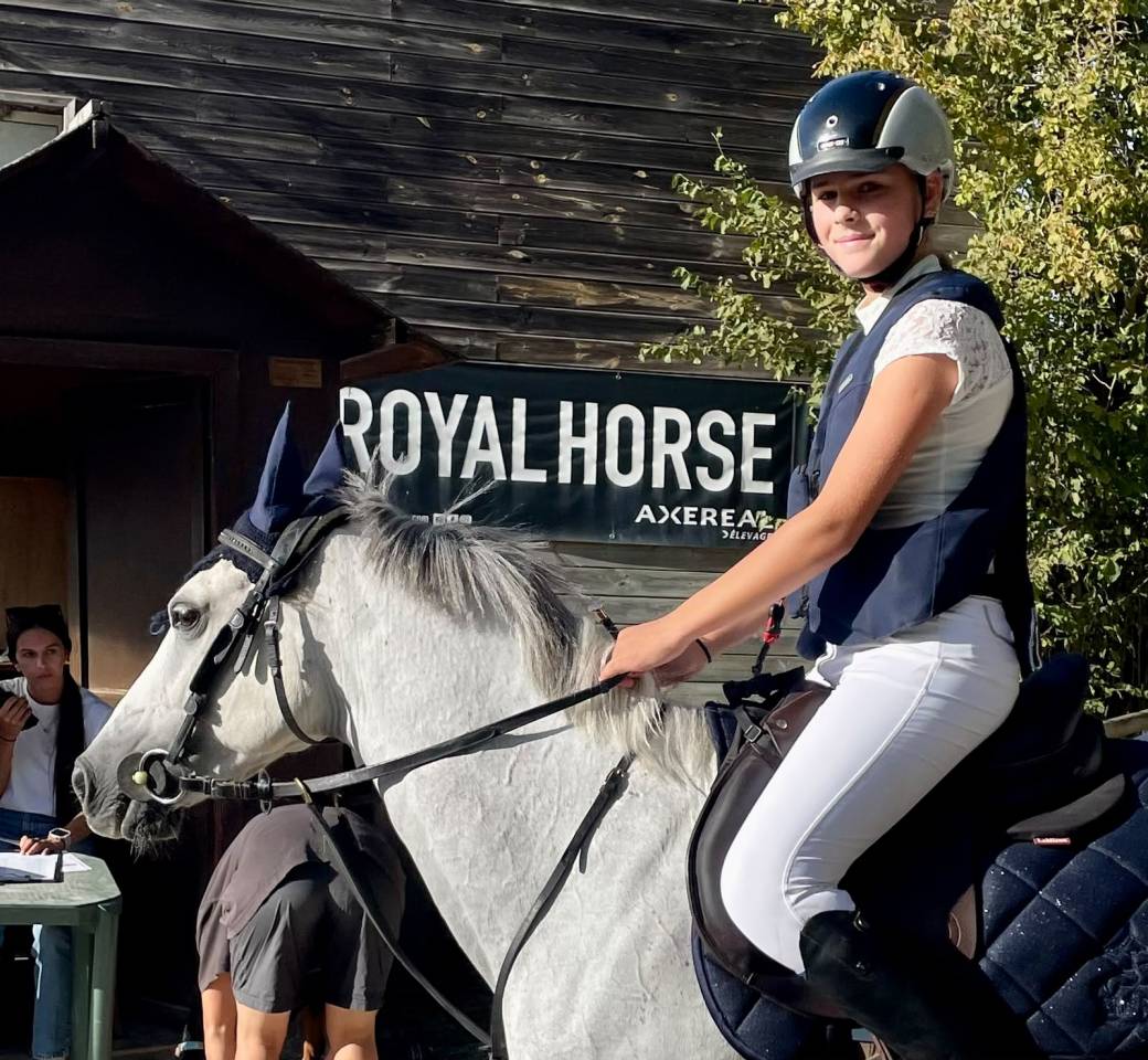 Cavalla Welsh Poney (Sezione C) In vendita 2016 Grigio ,  Orielton top secret GBR