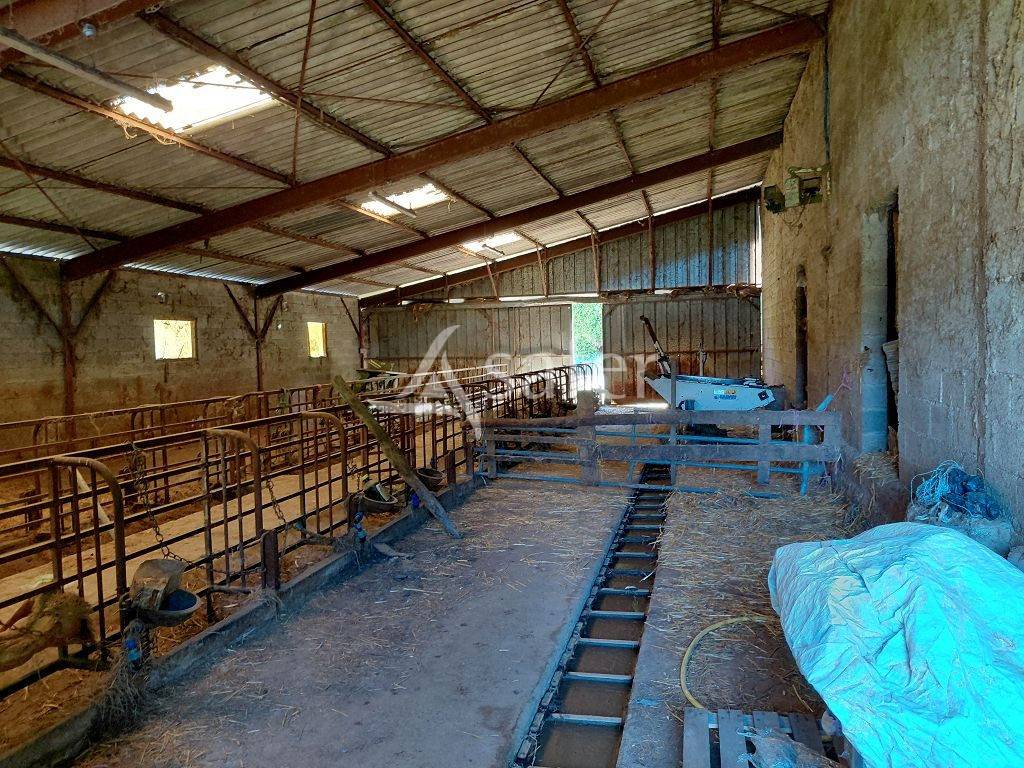 Azienda agricola In vendita Corr&egrave;ze