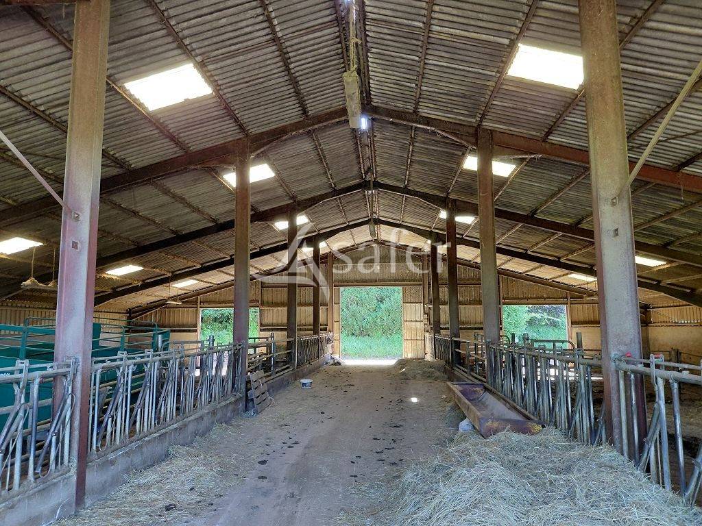 Azienda agricola In vendita Corr&egrave;ze