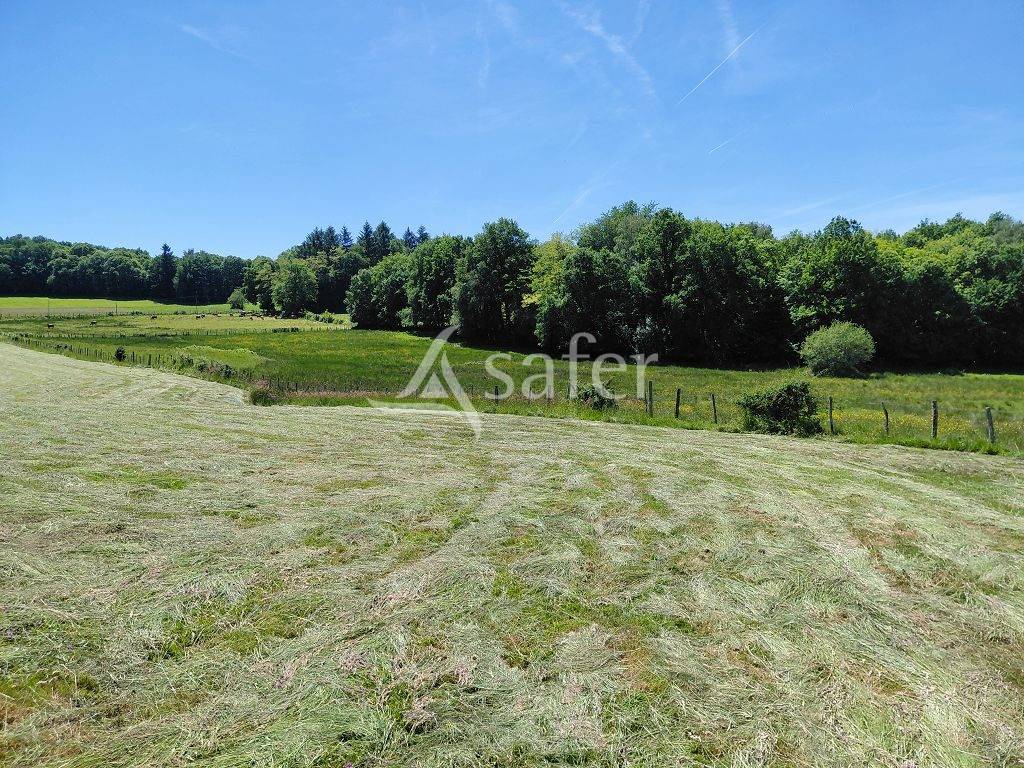 Azienda agricola In vendita Corr&egrave;ze