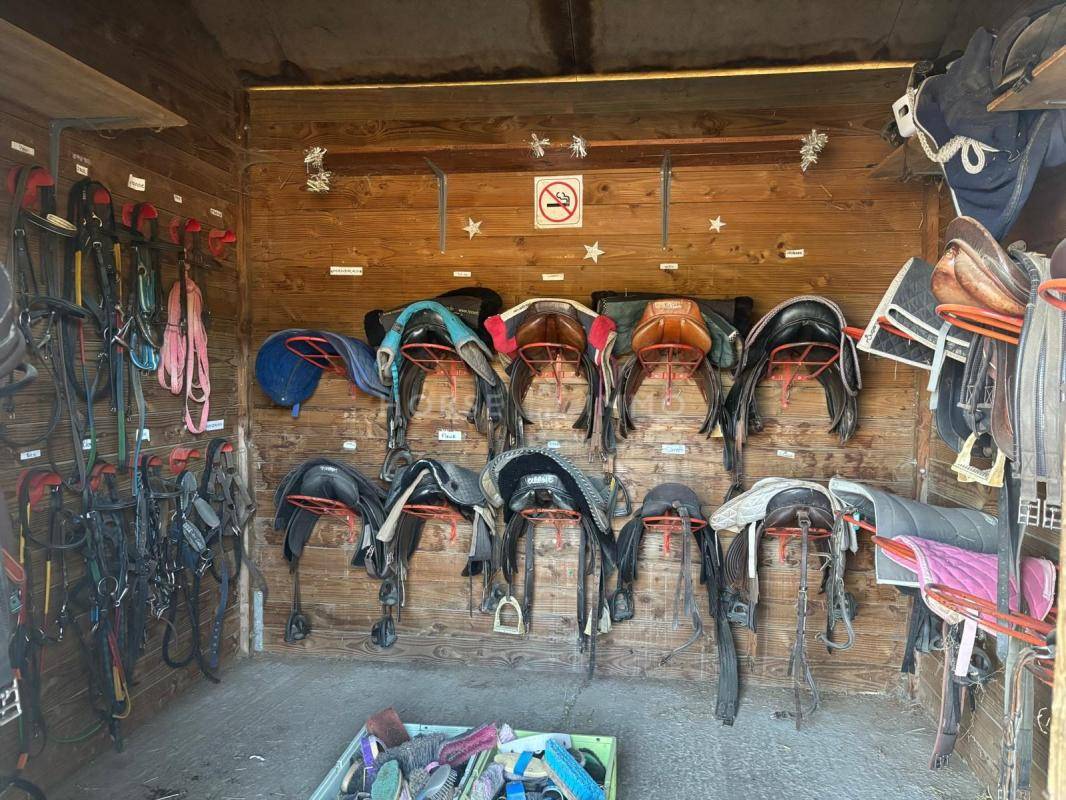 Propriet&agrave; equestre In vendita Eure