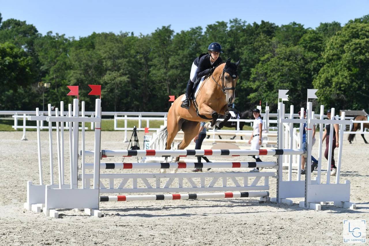 Cavalla Akhal Teke In vendita 2017 Isabella