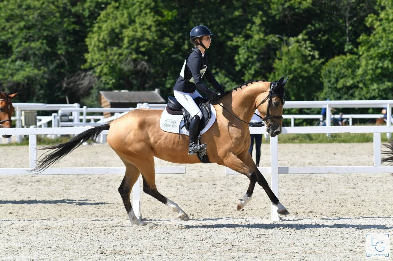 Cavalla Akhal Teke In vendita 2017 Isabella