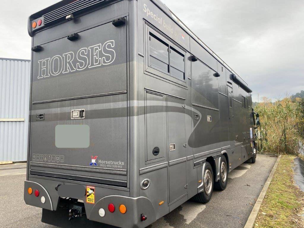 Camion per Cavalli Mercedes Mercedes Actros JK 2008 Occasione