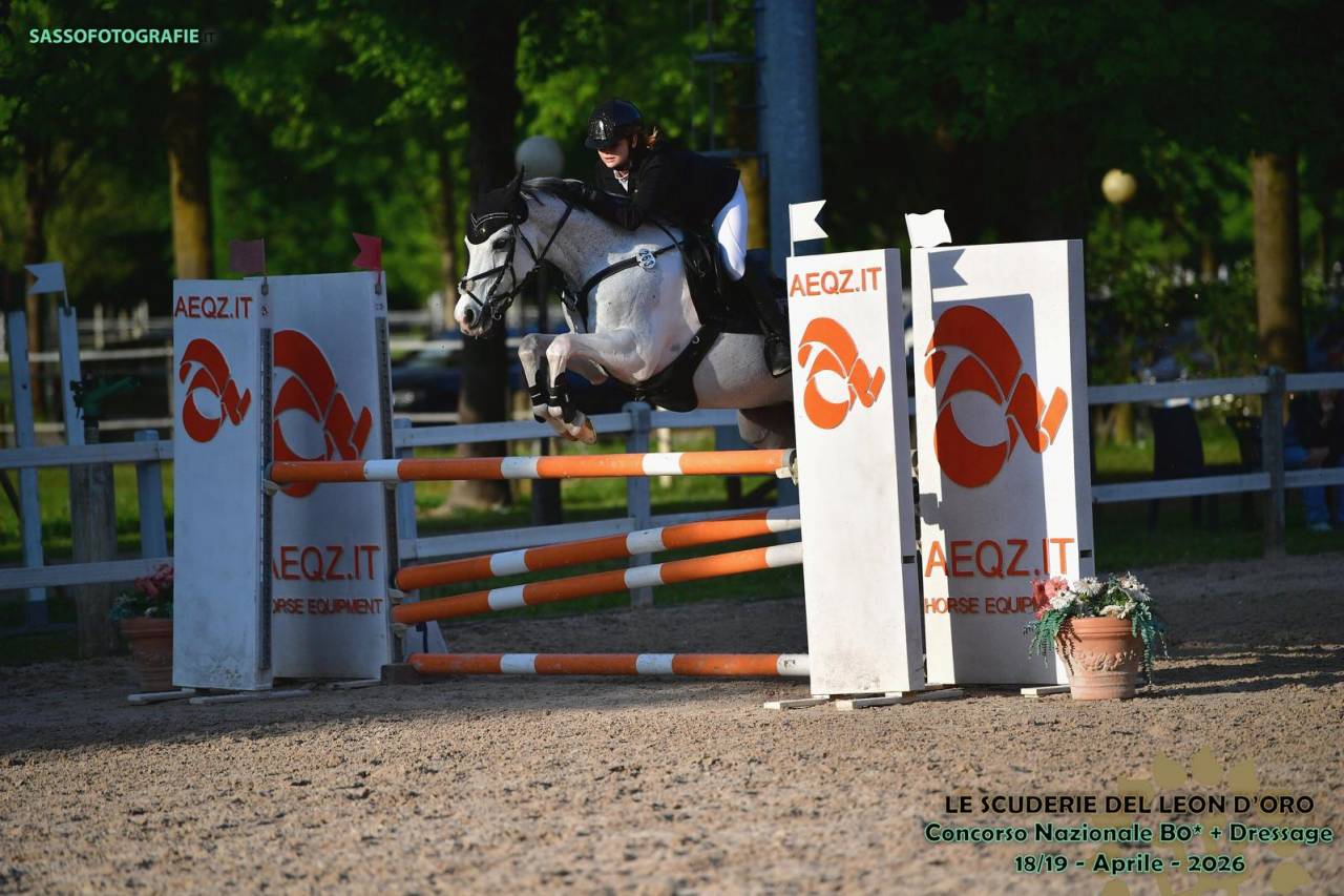 Straordinario Pony/cavallino 