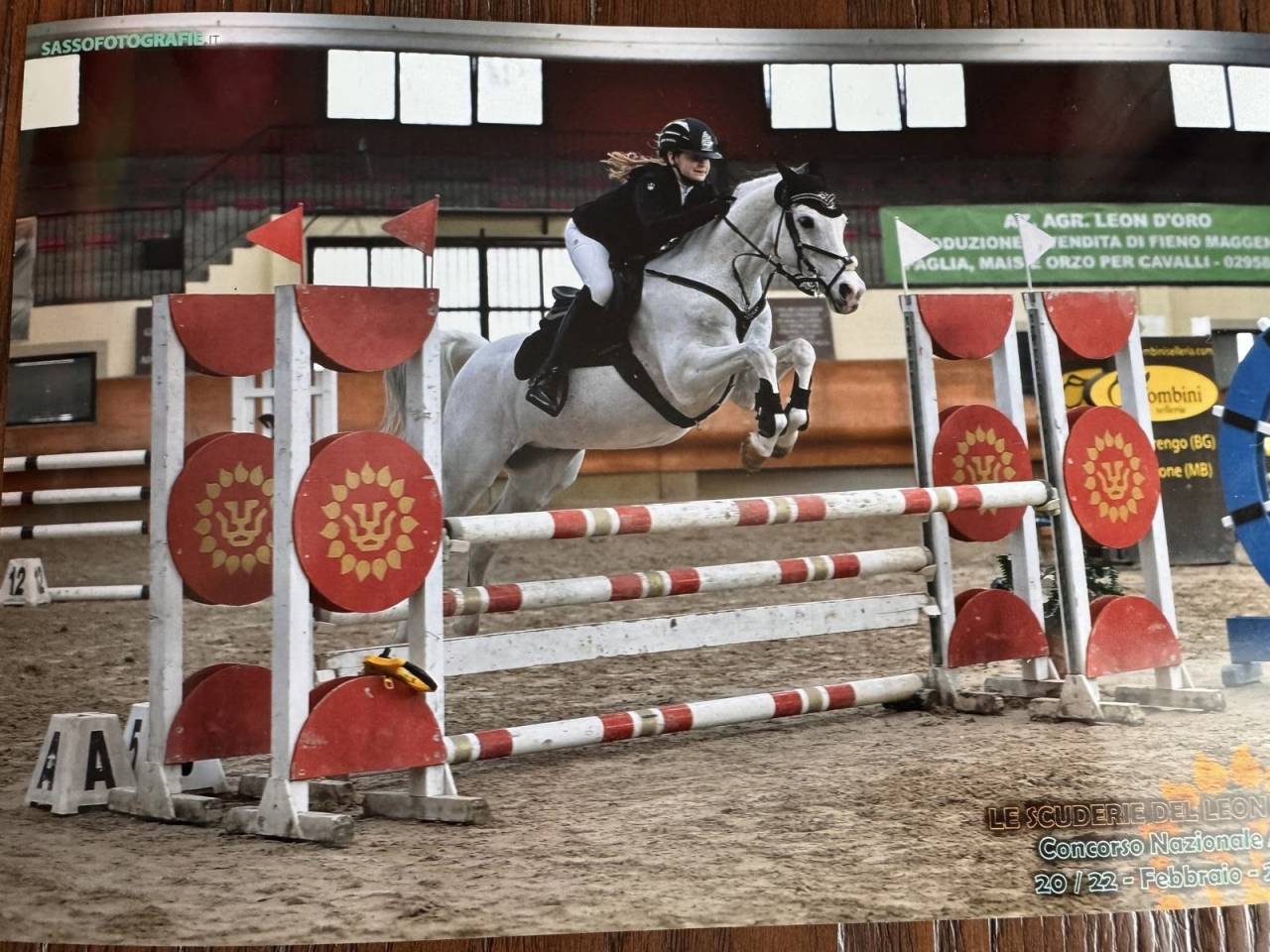Straordinario Pony/cavallino 