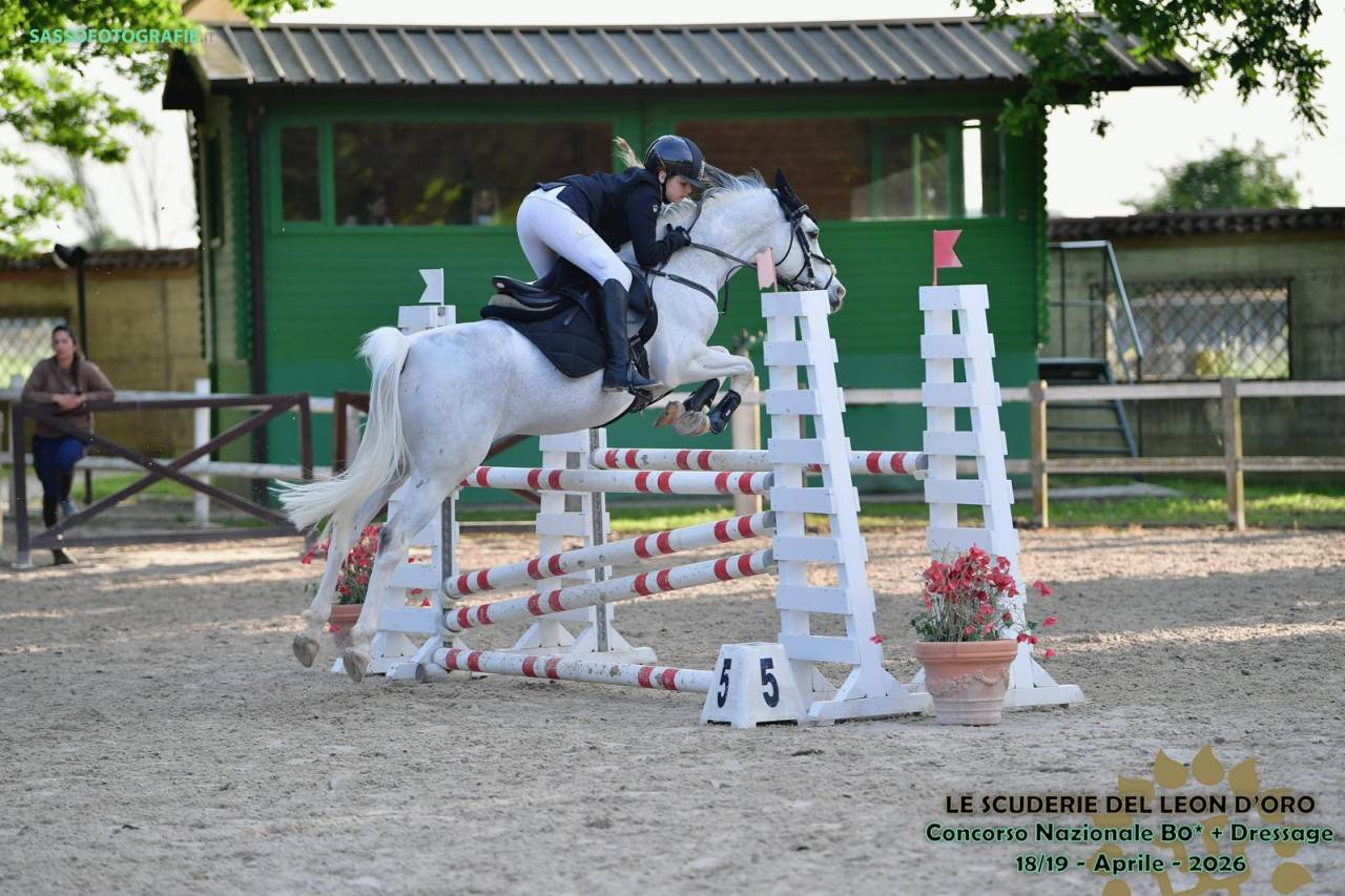 Straordinario Pony/cavallino 