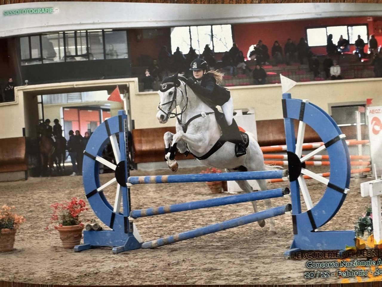 Straordinario Pony/cavallino 