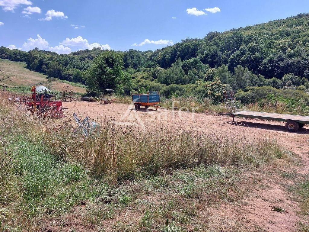 Azienda agricola In vendita Haute-Vienne