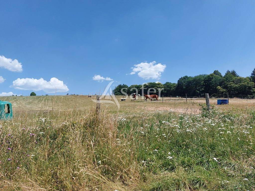 Azienda agricola In vendita Haute-Vienne