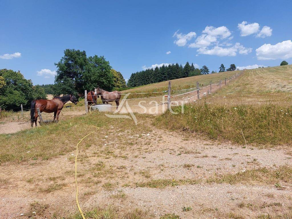 Azienda agricola In vendita Haute-Vienne