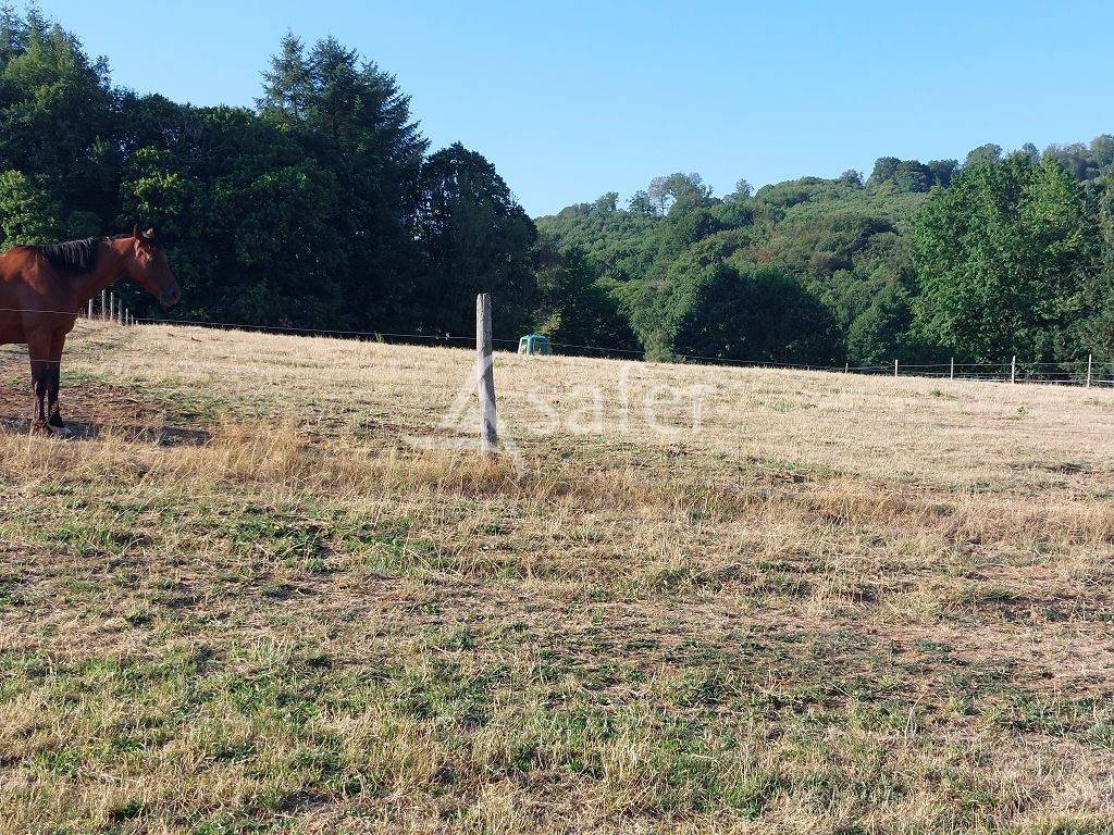 Azienda agricola In vendita Haute-Vienne