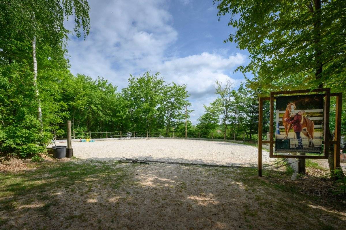 Centro ippico In vendita Vosges