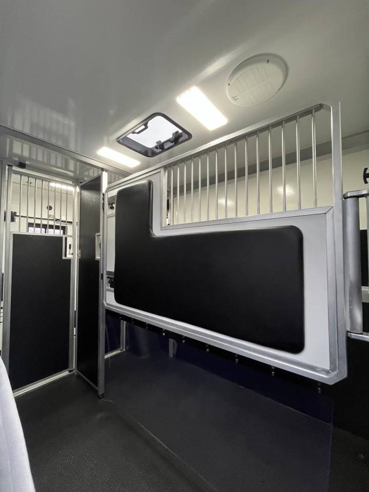 Van per Cavalli STX  2024 Occasione