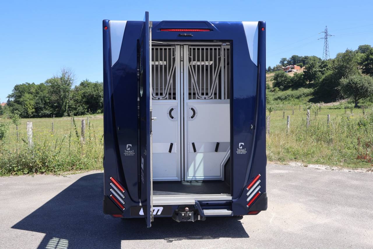 Van per Cavalli Theault THEAULT MASTER 2024 Occasione
