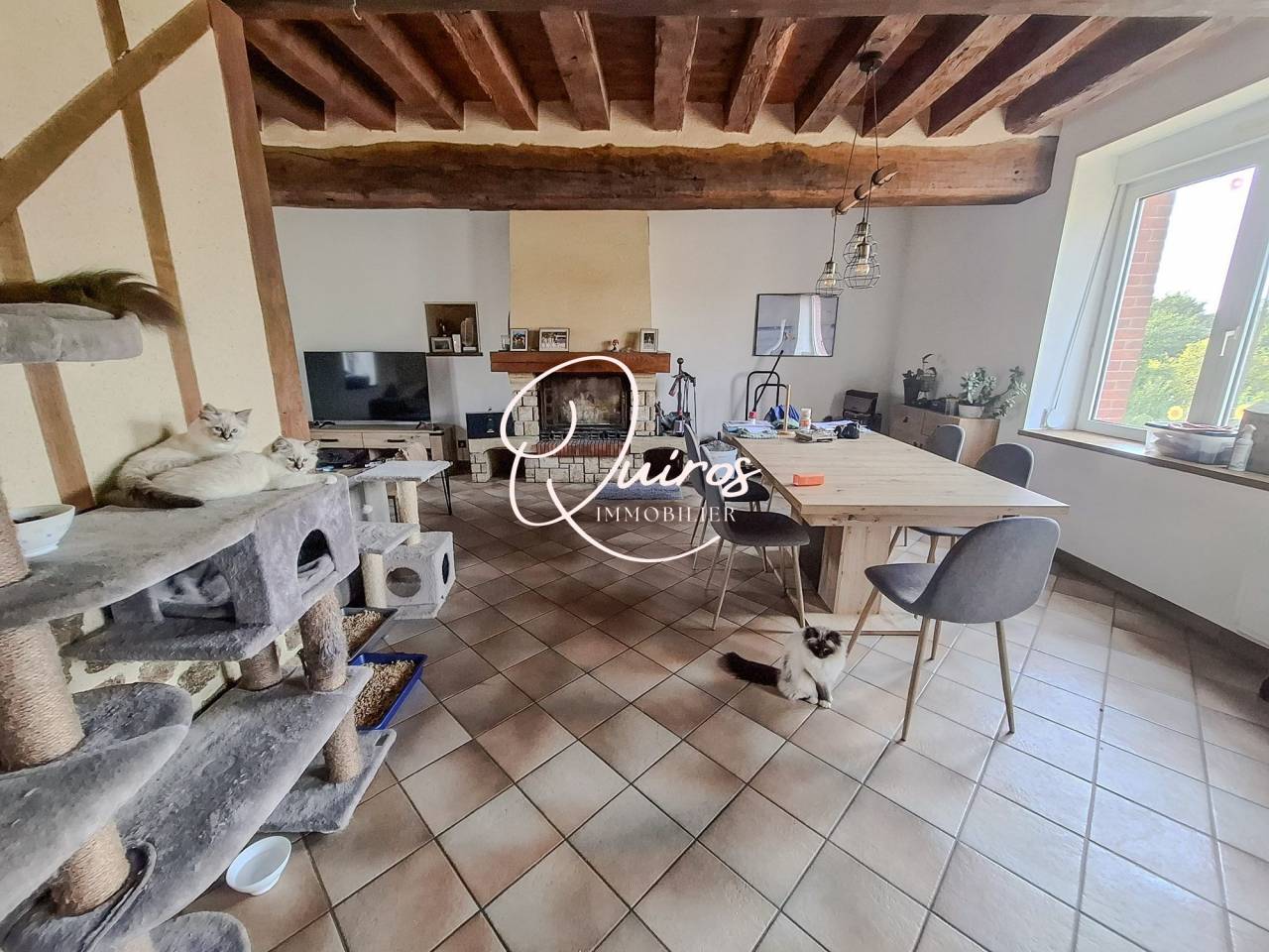 Propriet&agrave; equestre In vendita Orne