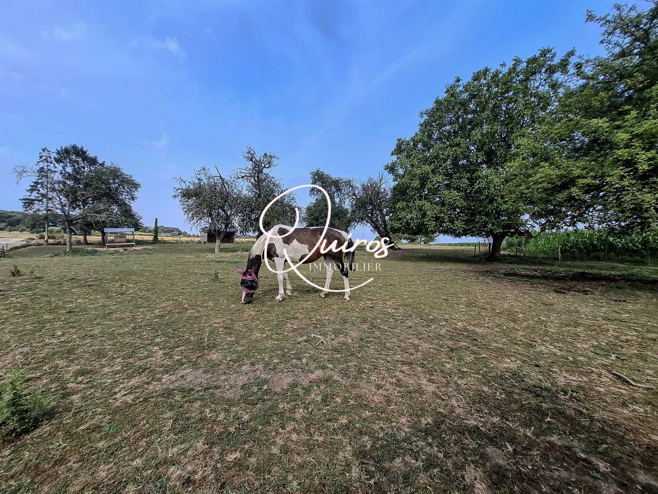 Propriet&agrave; equestre In vendita Orne