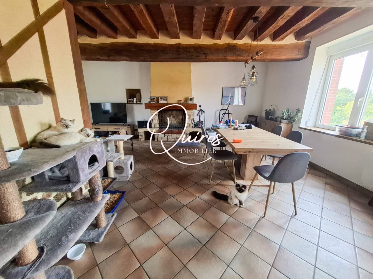 Propriet&agrave; equestre In vendita Orne