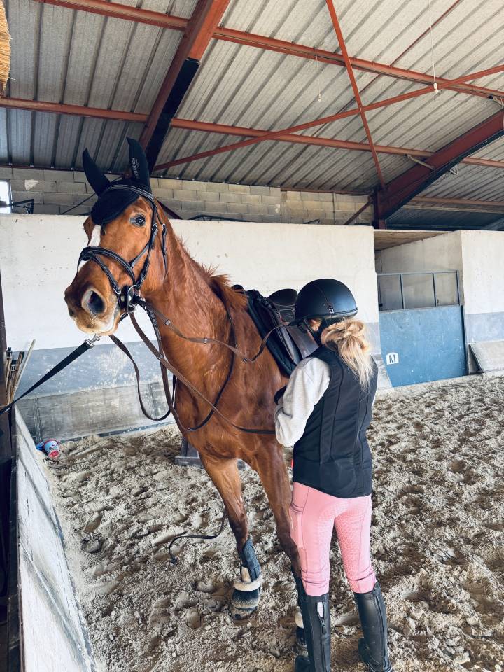Cavalla AQPS In vendita 2020 Sauro ,  Spanish Moon