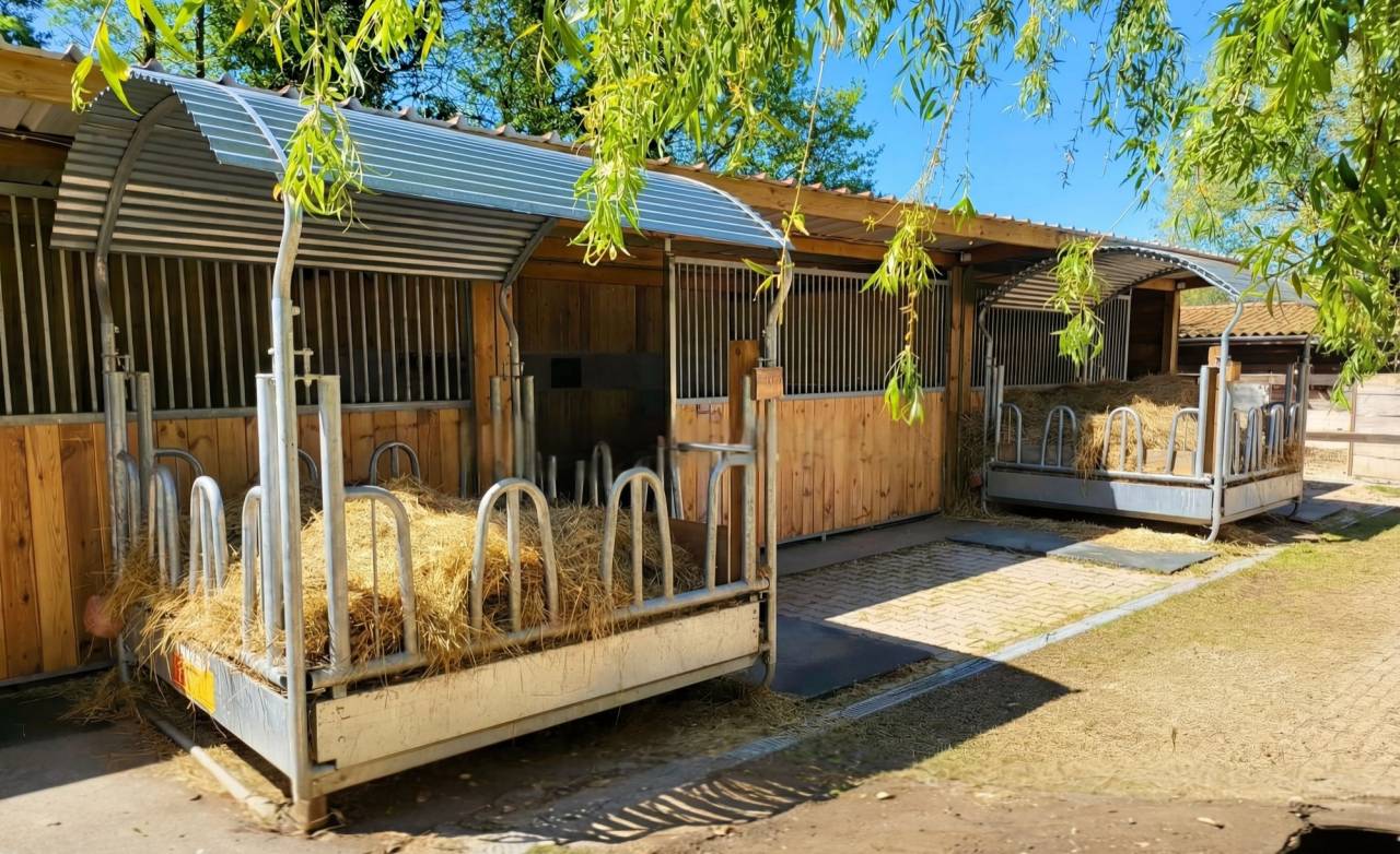 Propriet&agrave; equestre In vendita Ain