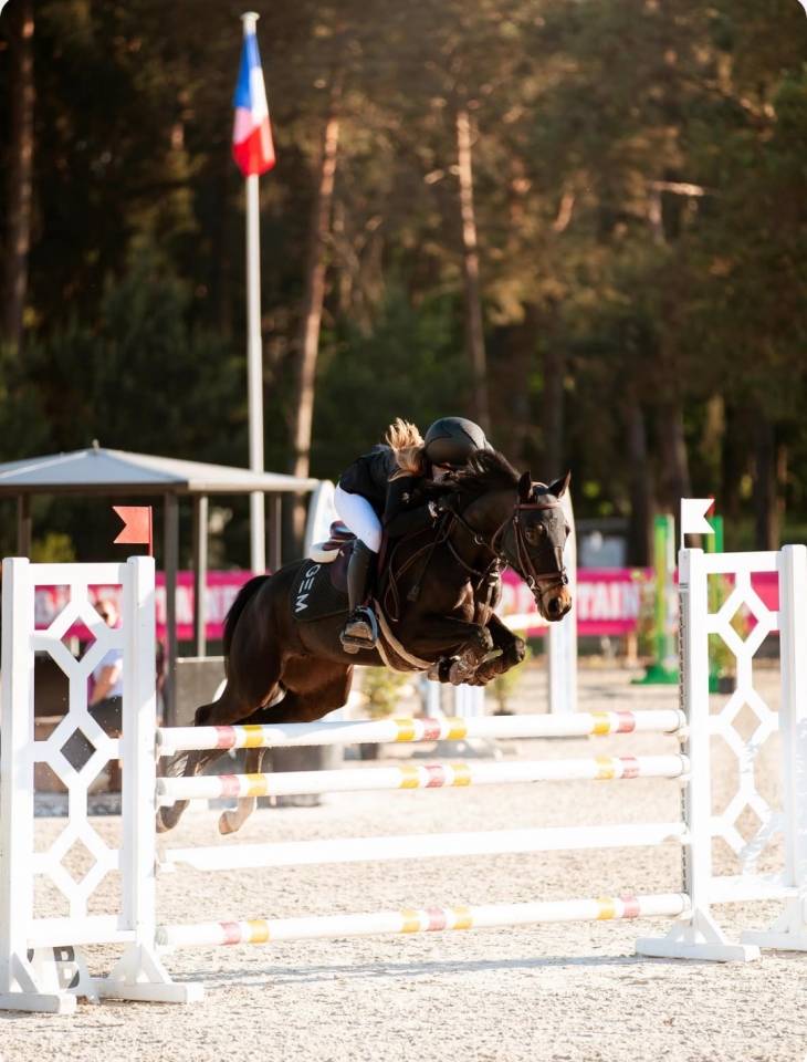 Cavalla PFS Pony Francese da Sella Noleggio 2017 Nero ,  WELCOME SYMPATICO