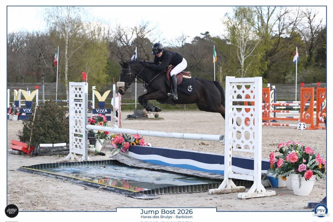 Cavalla PFS Pony Francese da Sella Noleggio 2017 Nero ,  WELCOME SYMPATICO